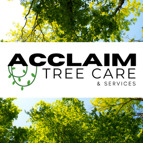 tree-pruning-and-removal